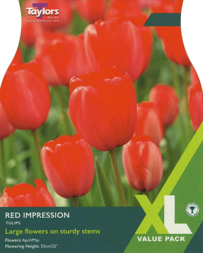 Tulip ‘Red Impression’ – XL Pack of 15 Bulbs - Image 1