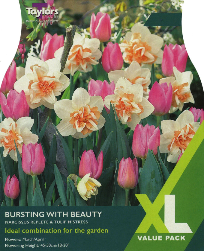 Bursting With Beauty – 10 Bulb Combo Pack - Image 1