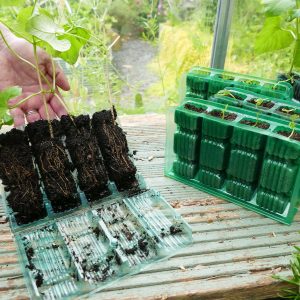 Gro-Sure Visiroot 4 Cell Deep kit for propagating deep root seedlings, recyclable RPET, reusable – Keans Claremorris