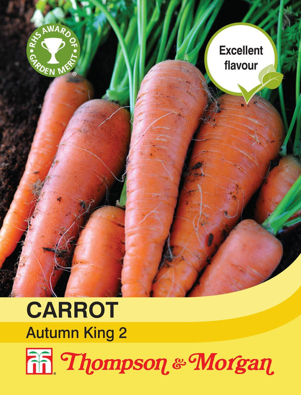 Carrot Autumn King 2 - hardy, deep orange finger carrots, quick maturing, ideal for kitchen gardens. Keans Claremorris.