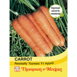 Carrot Resistafly Tozresis F1 Hybrid vegetable seed pack – disease-resistant, high yield | Keans Claremorris