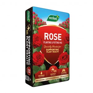 Westland Rose Planting & Potting Mix 60L with slow-release feed, added sulphur and zinc for strong, healthy roses - Keans