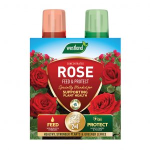 Westland 2 in 1 Rose Feed & Protect 2x500ml for healthier, vibrant roses, disease-resistant, child and bee-friendly – Keans