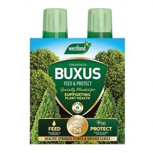 Buxus Feed & Protect 2 X 500ml