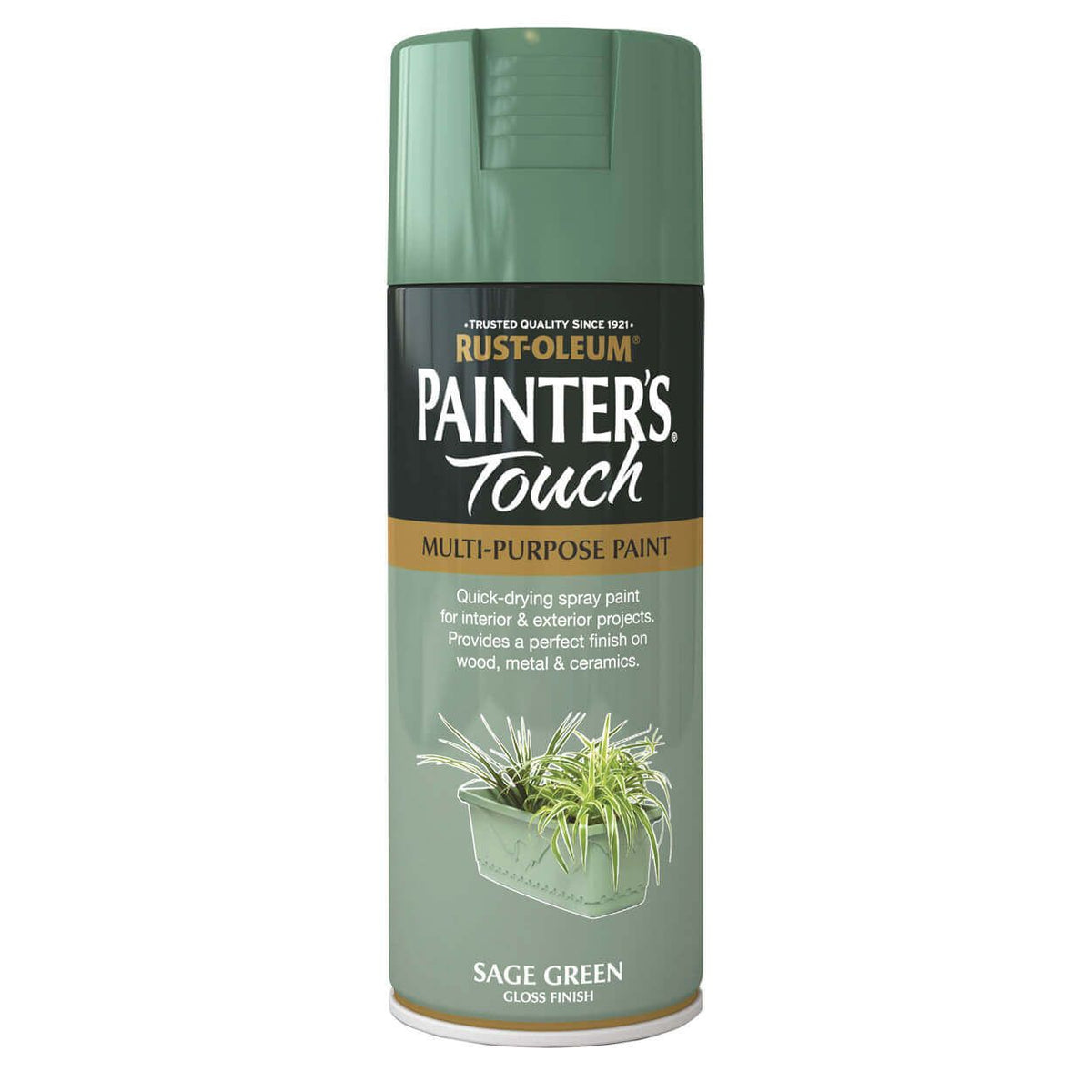 Rust-Oleum Painter's Touch Sage Green 400ml spray paint, fast-drying, durable finish, multi-purpose – Keans Claremorris