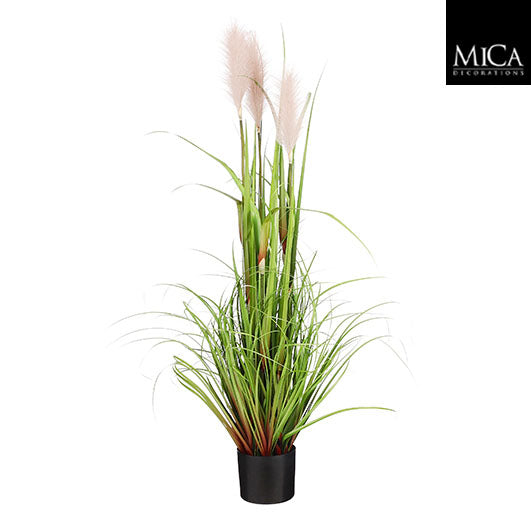 Plume grass in pot grey - h120xd45cm