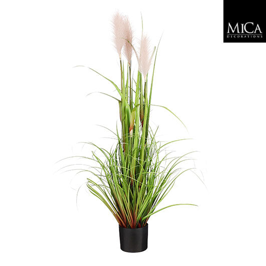 Plume grass in grey pot, 120cm tall x 45cm wide, decorative indoor plant – Keans Claremorris