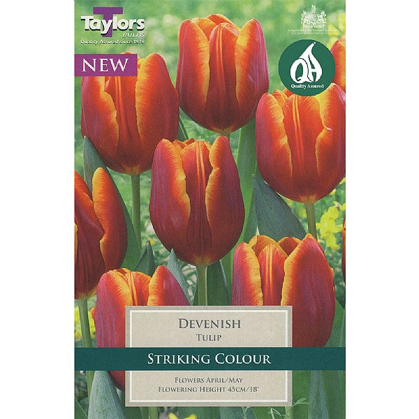 7 Tulip Devenish 11-12