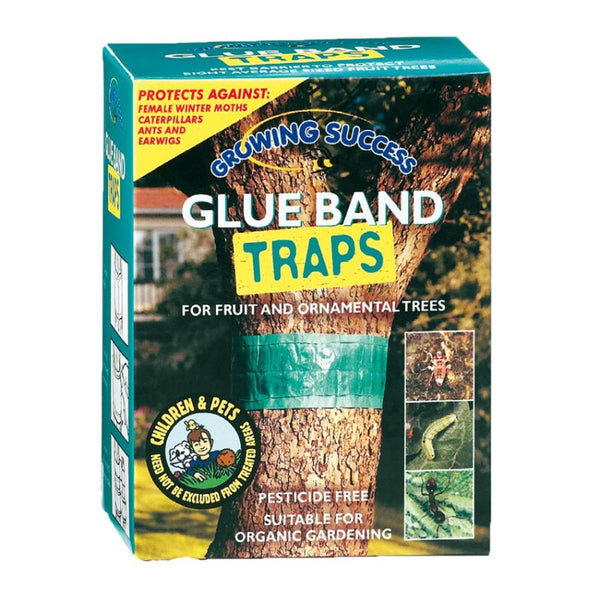 Growing Success Glue Band Trap 1.75m, pesticide-free tree barrier for crawling pests, organic gardening, Keans Claremorris.