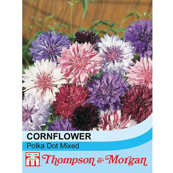 Cornflower Polka Dot Mixed S9-M5