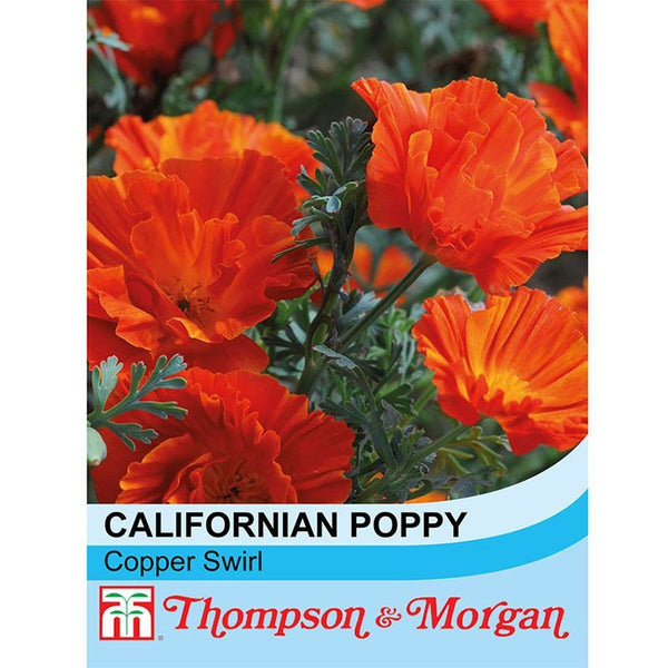 Californian Poppy Copper Swirl  S9-M5