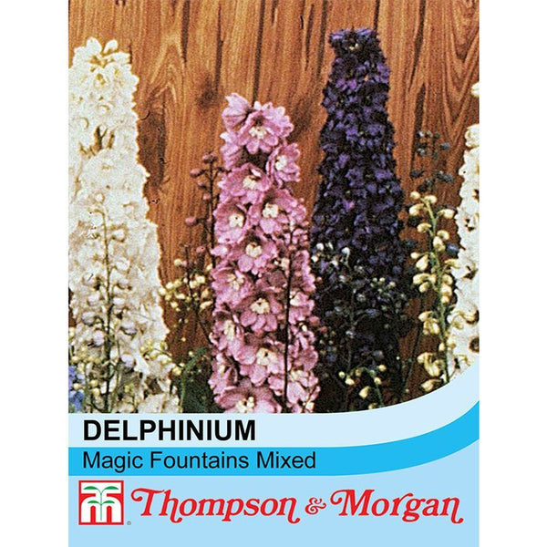Delphinium Magic Fountains J6-M3
