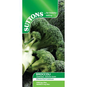 Suttons Broccoli Calabrese Autumn Spear