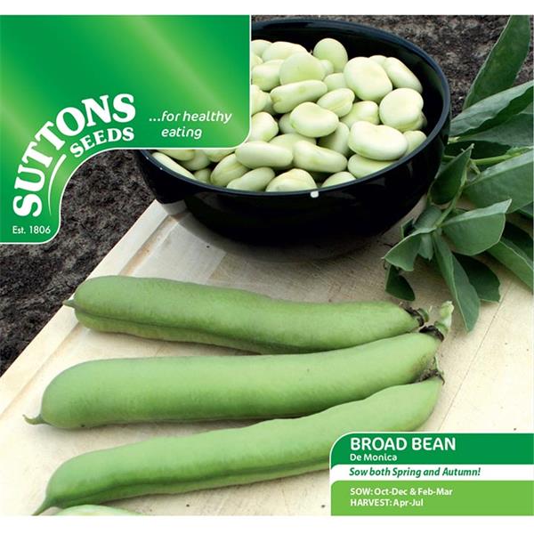 Suttons Broad Bean De Monica pods with creamy beans, early maturing, grows in low light – available at Keans Claremorris.