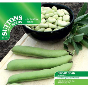 Suttons Broad Bean De Monica