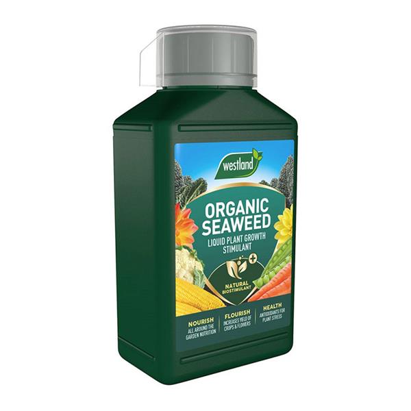 Westland Seaweed Specialist Liquid Feed 1L - organic plant growth stimulant boosting root growth and plant health, Keans