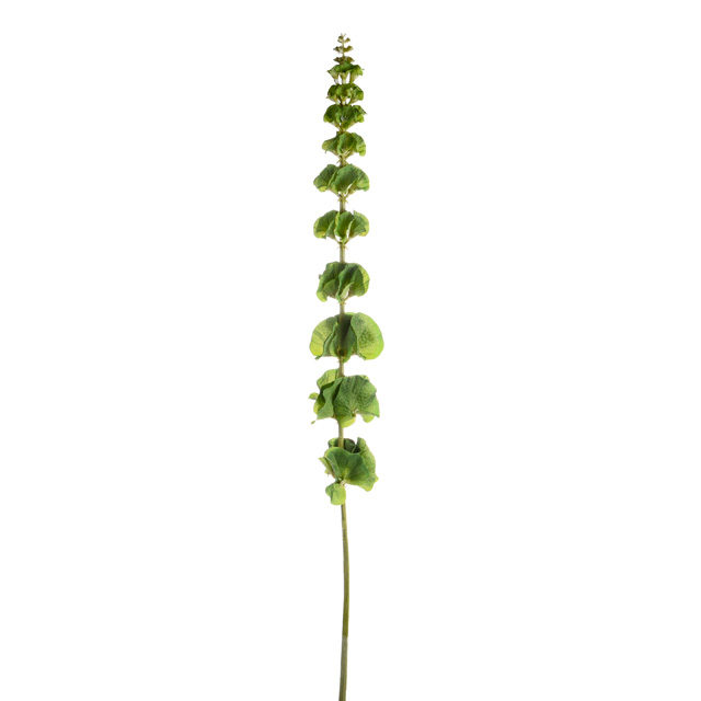 Bells of Ireland 78cm tall stems with bendable wire, vibrant green polyethylene leaves – from Keans Claremorris.