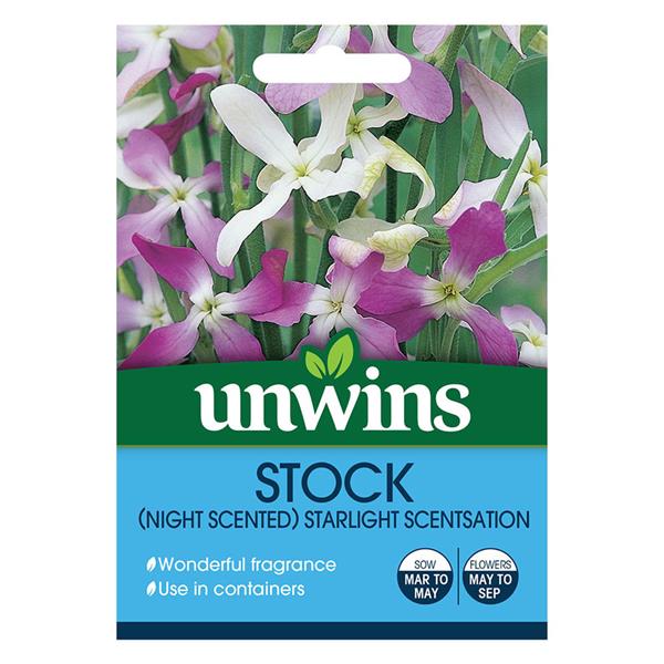 Stock Night Scented Starlight Scentsation flowers, pastel shades, easy to grow, blooms May-Sept | Keans Claremorris