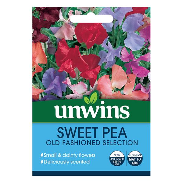Sweet Pea Old Fashioned Mix flowers, vibrant colors, easy to grow, blooms May-August, scent rating 5/5 – Keans Claremorris
