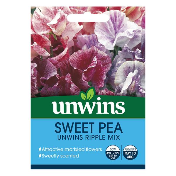Sweet Pea Unwins Ripple Mix flowers, colorful cottage garden blooms, scent rating 3/5, available at Keans Claremorris