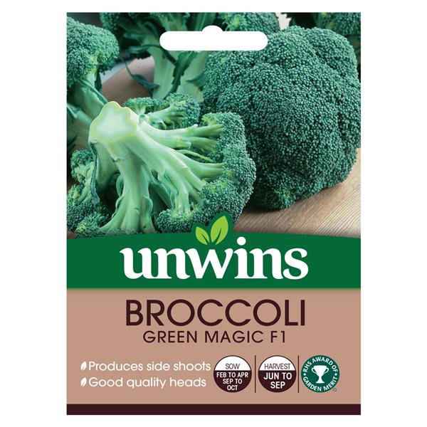 Broccoli Calabrese Green MaGrow Itc F1 with domed head, tasty steamed or boiled, side shoots for later harvest - Keans
