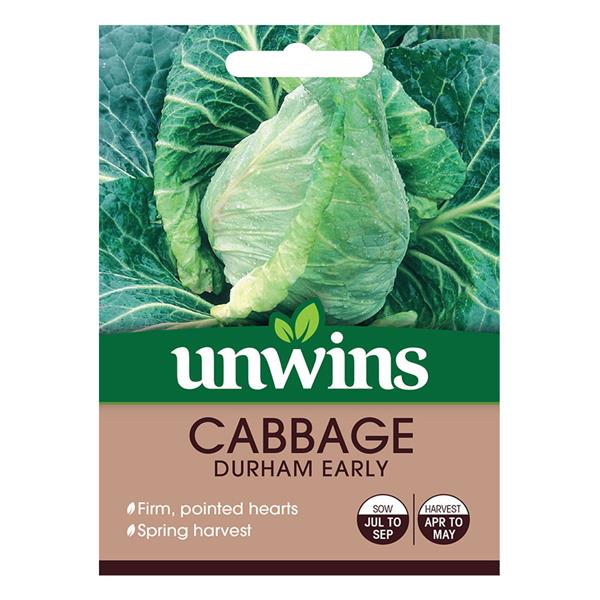 Pointed Durham Early cabbage with large solid hearts, early spring harvest, from Keans Claremorris.