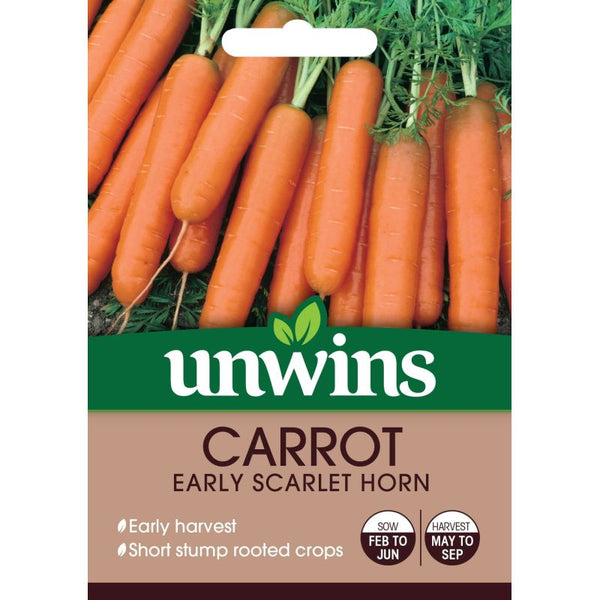 Carrot Early Scarlet Horn seeds - short, stump-rooted, early crop, prefers full sun. 1500 seeds pack. Keans Claremorris.