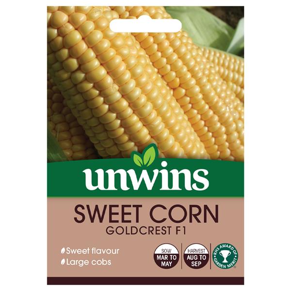 Sweet Corn Goldcrest F1 - super sweet, fresh harvest Aug-Sept, perfect with butter. Available at Keans Claremorris.