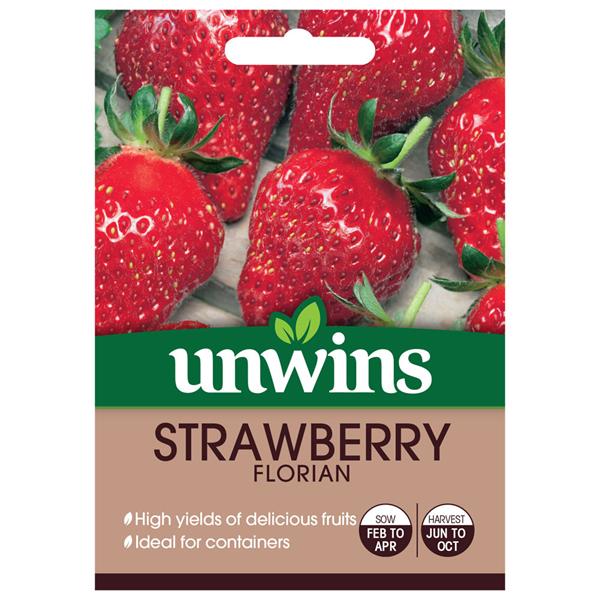 Strawberry Florian with pink apple blossom flowers and juicy red fruit, ideal for greenhouse or containers - Keans
