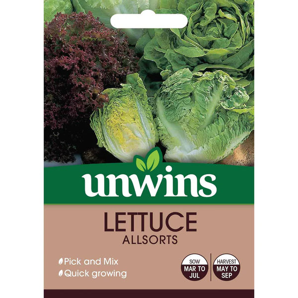 Lettuce Allsorts mix with 4 salad varieties, 1000 seeds, prefers full sun – Keans Claremorris.