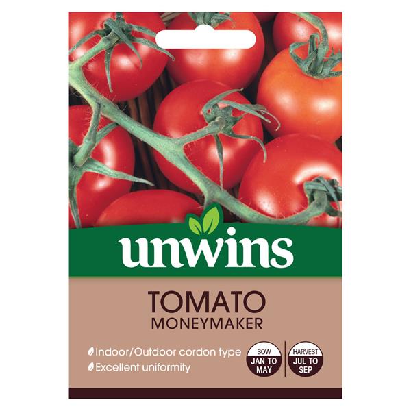 Round Moneymaker tomatoes, snooker ball-sized, English salad staple, grows anywhere, Keans Claremorris.