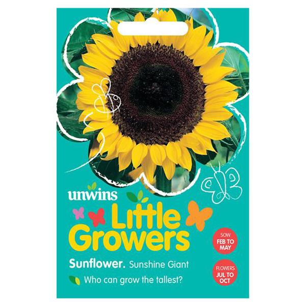 Little Growers Sunflower Sunshine Giant