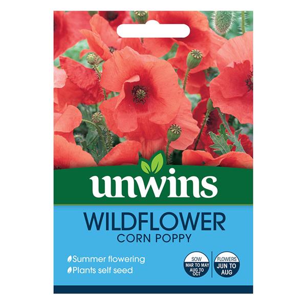 Bright scarlet Wildflower Corn Poppy blooms, self-seeding, flowering June-August | Keans Claremorris