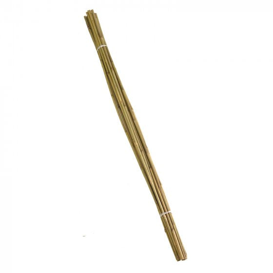 Bundle of 20 bamboo canes 150cm for plant support, ideal for climbing plants and vegetables – Keans Claremorris.