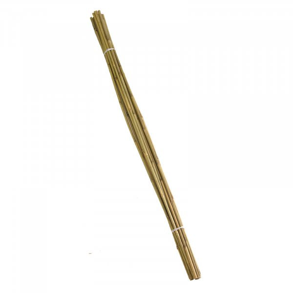 Bundle of 10 bamboo canes 210cm for plant support, ideal for climbing plants and vegetables – Keans Claremorris