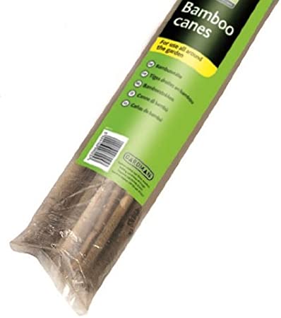 60cm bamboo plant supports pack of 20, natural renewable willow, ideal for peas and climbing plants – Keans Claremorris