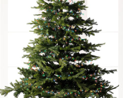 LED Compact Outdoor Lights, Multi-Coloured Twinkle, 800cm, 500 LEDs – Keans Claremorris