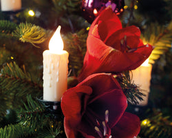 Jumbo LED Candle String Lights 30 warm white bulbs, 11.6m, indoor, timer, plug-in – Keans Claremorris