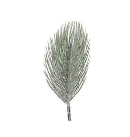 Pine Spray Frosted 55cm
