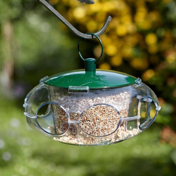 Small Bird Seed Feeder with transparent central hopper and entry ports, ideal for small garden birds – Keans Claremorris