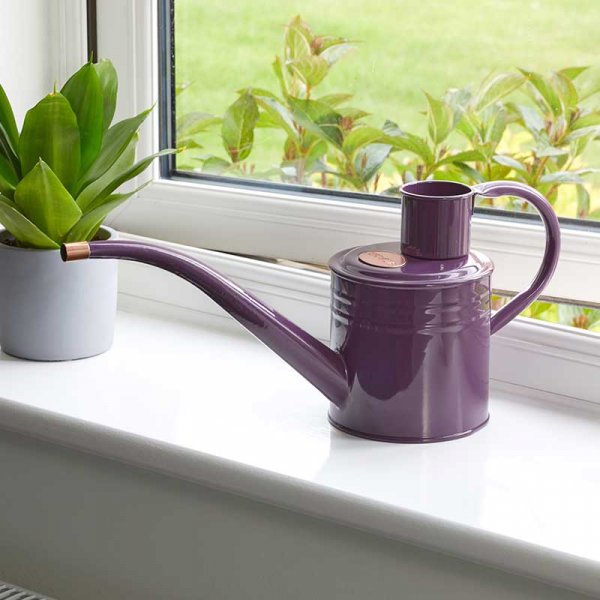 Home & Balcony Watering Can Violet 1L (6514019)