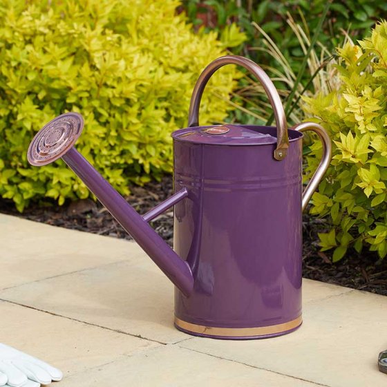 Violet 9L galvanised steel watering can with ergonomic handle and watering rose – durable garden tool from Keans Claremorris