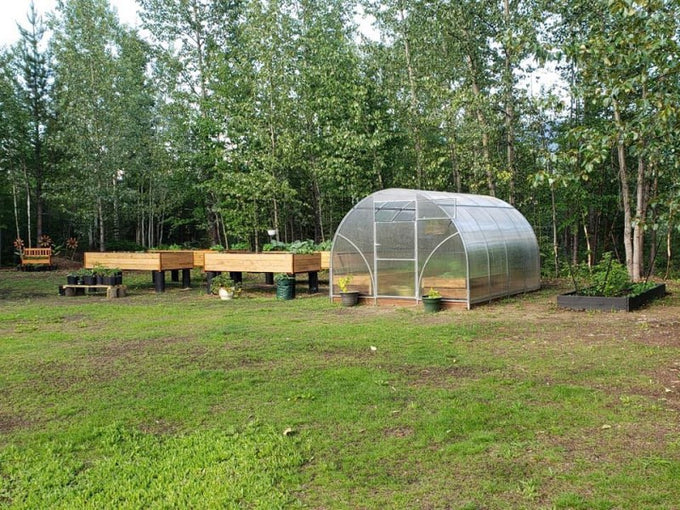 Sigma Greenhouse 3x6M 6MM polycarbonate panels, durable garden shelter by Keans Claremorris