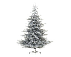 Grandis Fir Frosted 240cm Christmas Tree with 2,935 realistic tips, hinged branches, metal stand – Keans Claremorris display