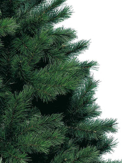 Canada Spruce 7ft Christmas Tree with full branches, perfect holiday decor | Keans Claremorris