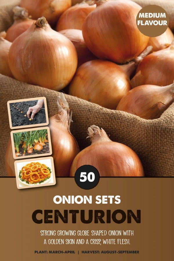 Onionsets Centurion