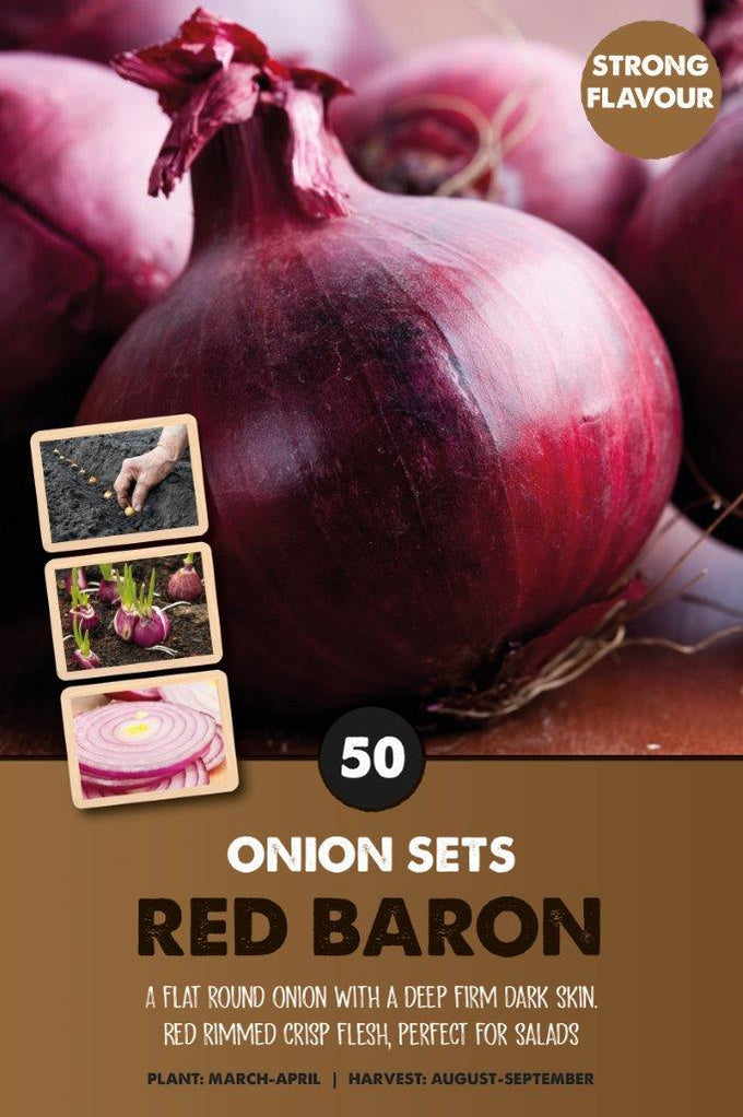 Red Baron Onion Sets with deep dark skin and crisp red-rimmed flesh, ideal for salads - Keans Claremorris