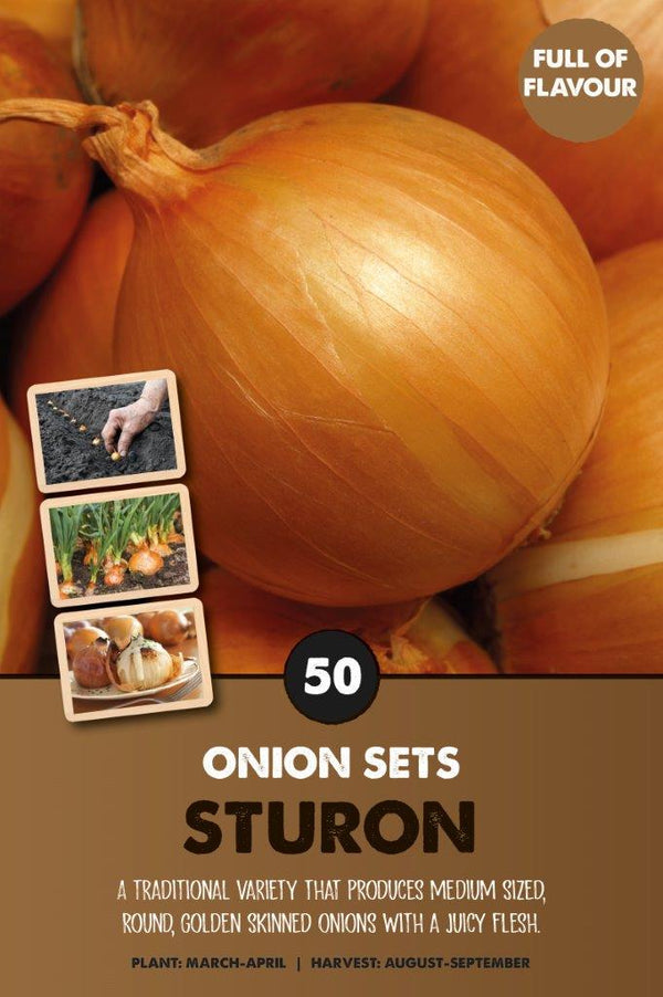 Onionsets Sturon - KeansClaremorris
