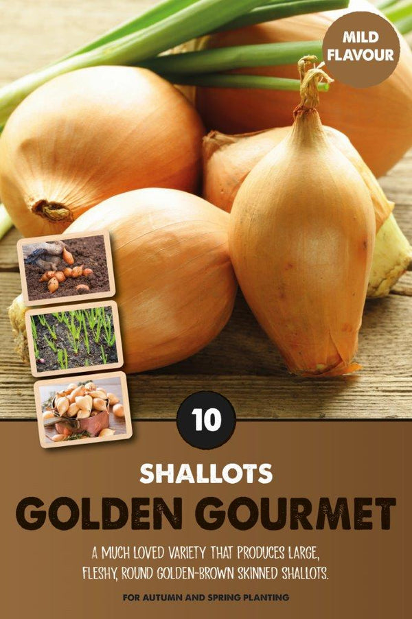 Shallots Golden Gourmet - KeansClaremorris