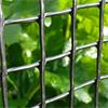 Garden & Plant Mesh 5m x 1m with 50mm holes for gardening, durable protection – Keans Claremorris